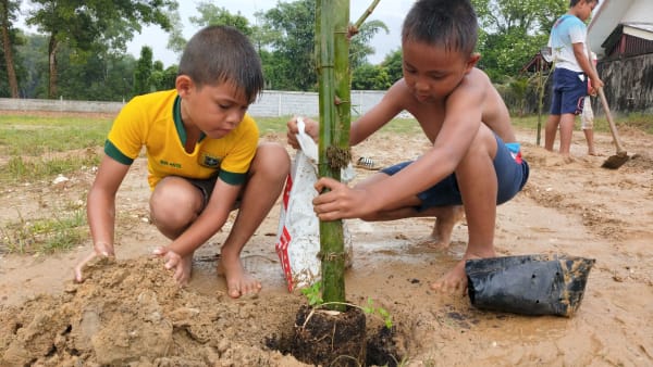 Sustainable farming at Baan Tharn Namchai